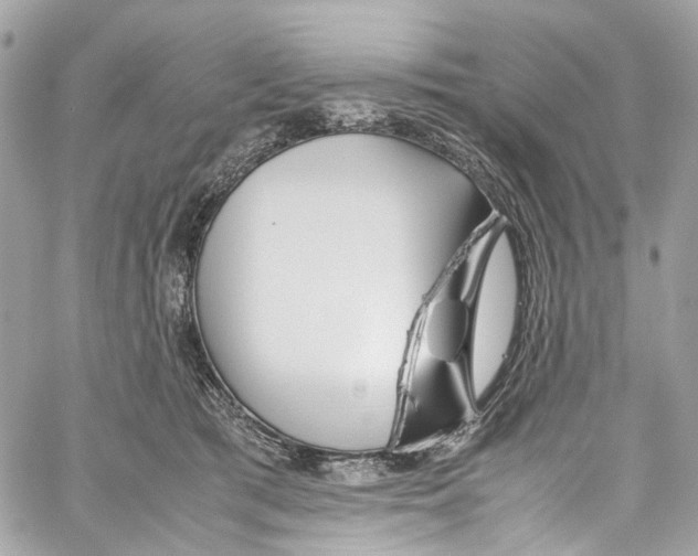 X0000059850417200511181543