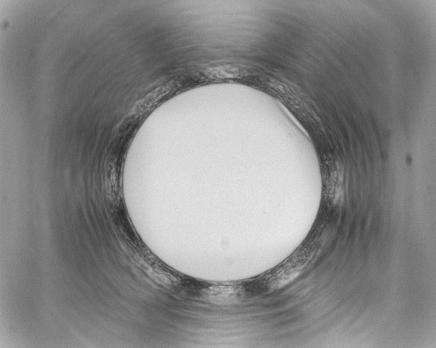 X0000059850418200511181543