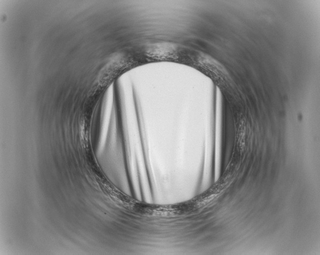 X0000059850420200511181543