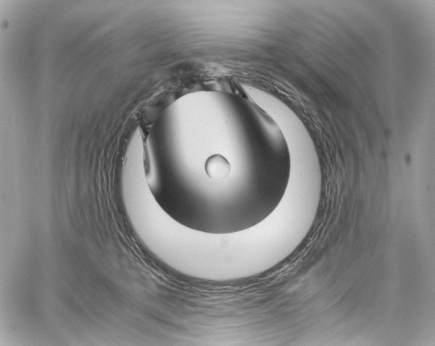 X0000059850421200511181543