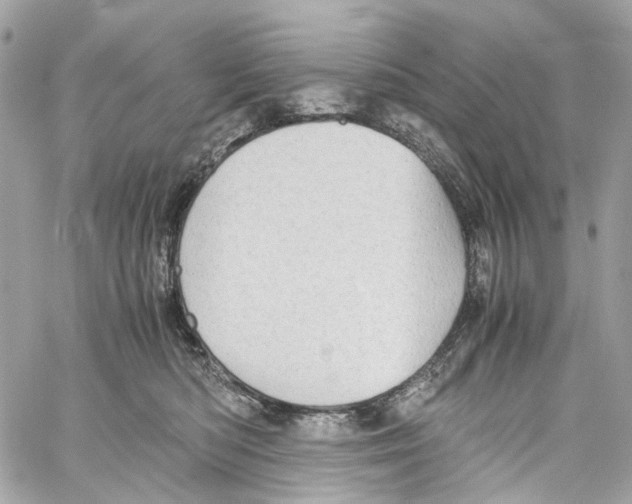 X0000059850422200511181543