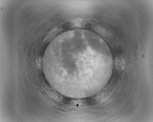 X0000059850423200511181543