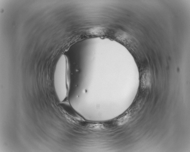 X0000059850424200511181543