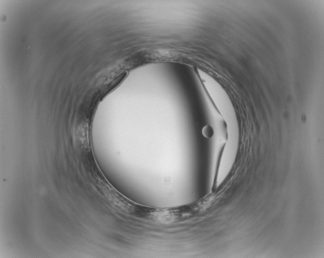 X0000059850425200511181543