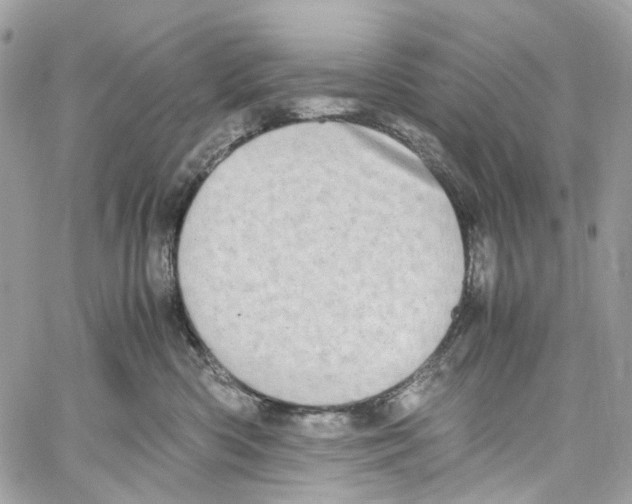 X0000059850426200511181543