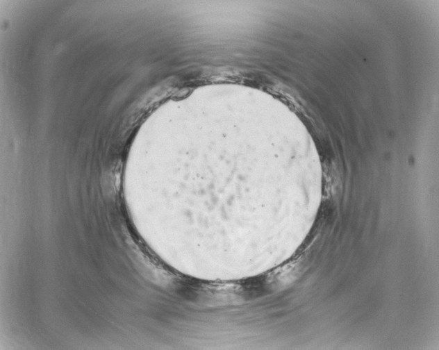 X0000059850427200511181543