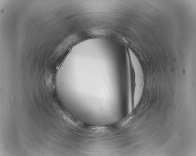 X0000059850428200511181543