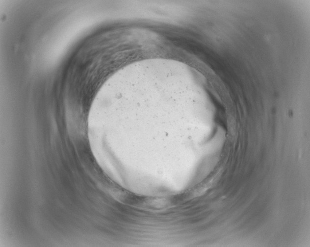 X0000059850431200511181543