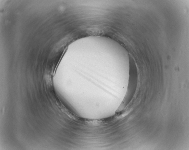 X0000059850432200511181543