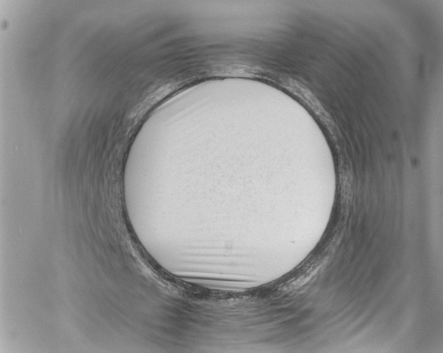 X0000059850433200511181542