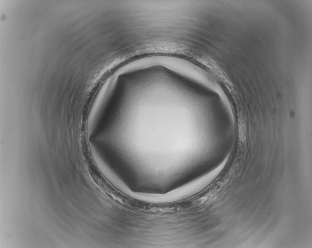 X0000059850434200511181542