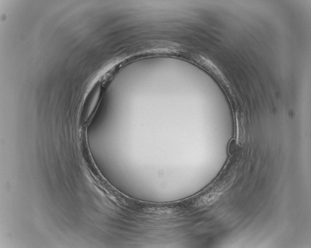 X0000059850435200511181542