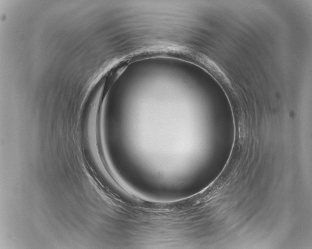 X0000059850436200511181542