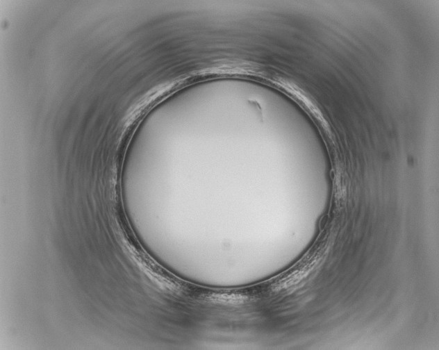 X0000059850437200511181542