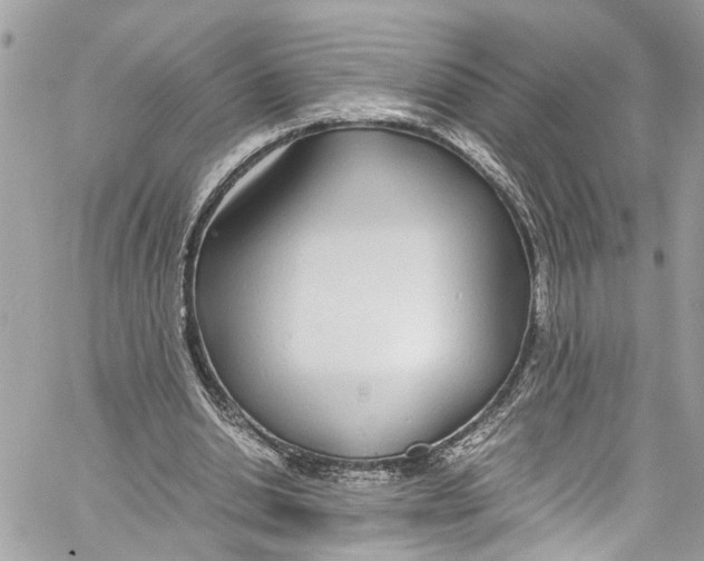 X0000059850438200511181542