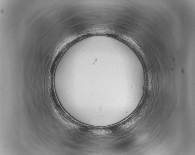 X0000059850439200511181542