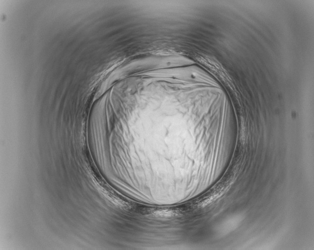 X0000059850441200511181542