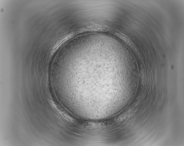 X0000059850442200511181542