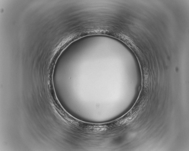 X0000059850443200511181542