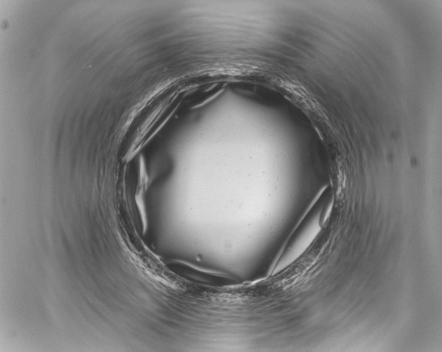 X0000059850444200511181542