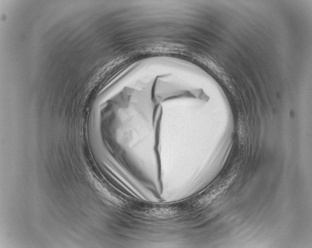 X0000059850445200511181542