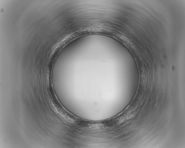 X0000059850446200511181542