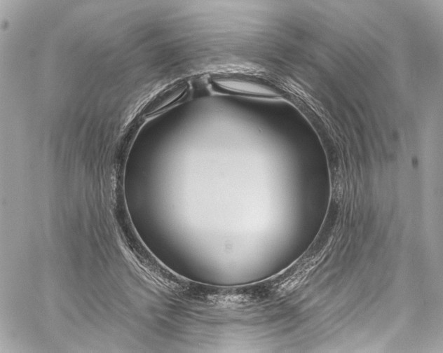 X0000059850448200511181542