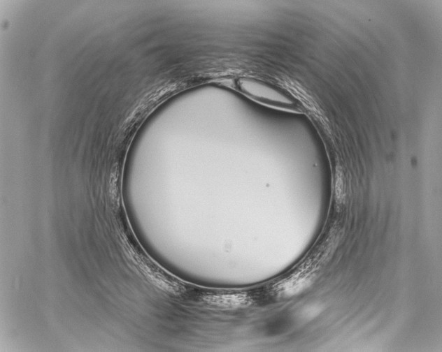 X0000059850449200511181542