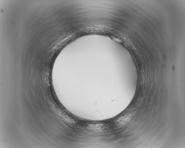 X0000059850450200511181542