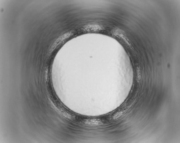 X0000059850451200511181542