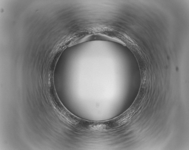 X0000059850452200511181542