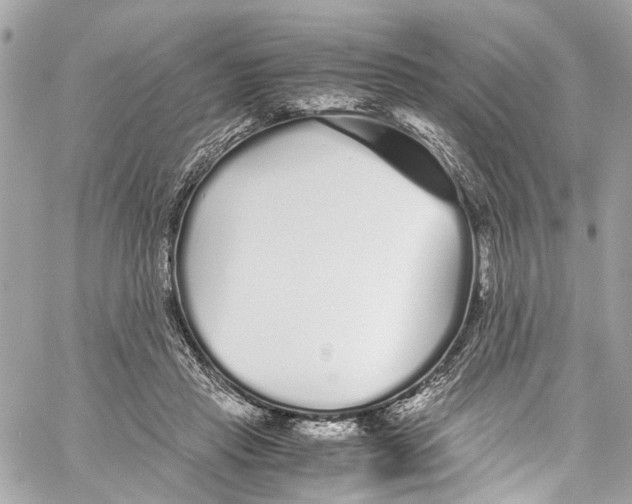 X0000059850453200511181542