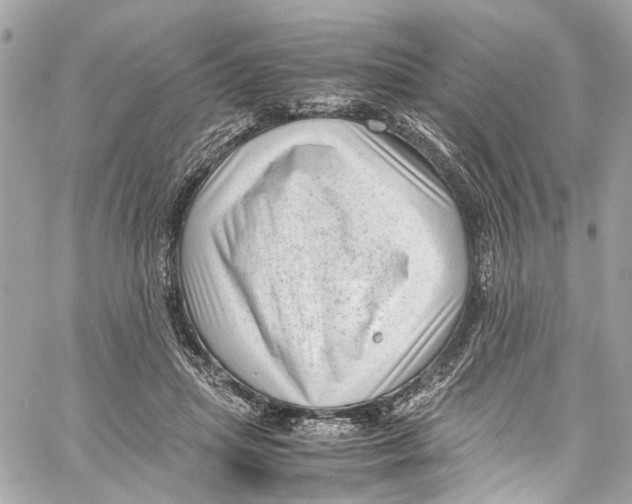 X0000059850455200511181543