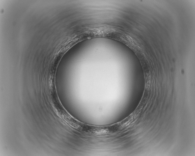 X0000059850456200511181543