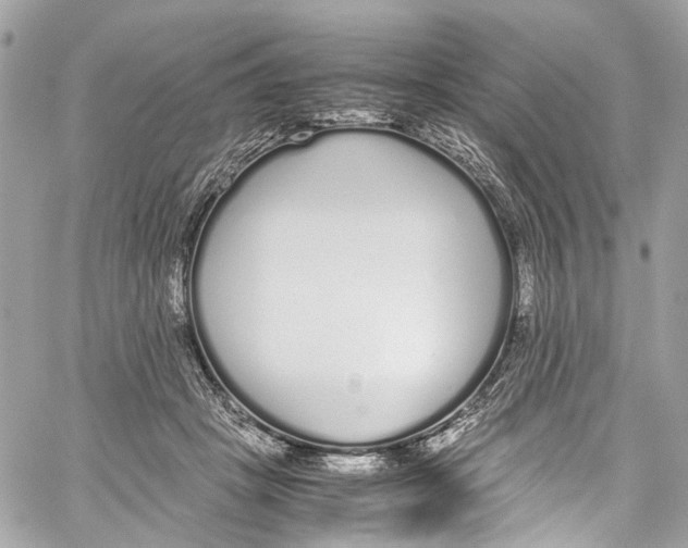 X0000059850457200511181543