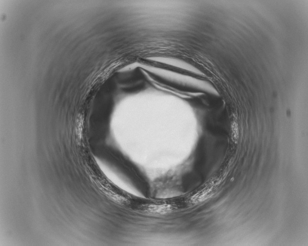 X0000059850458200511181543