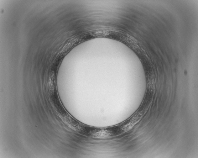 X0000059850460200511181543