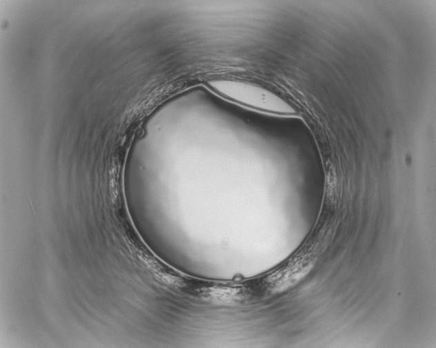 X0000059850462200511181543