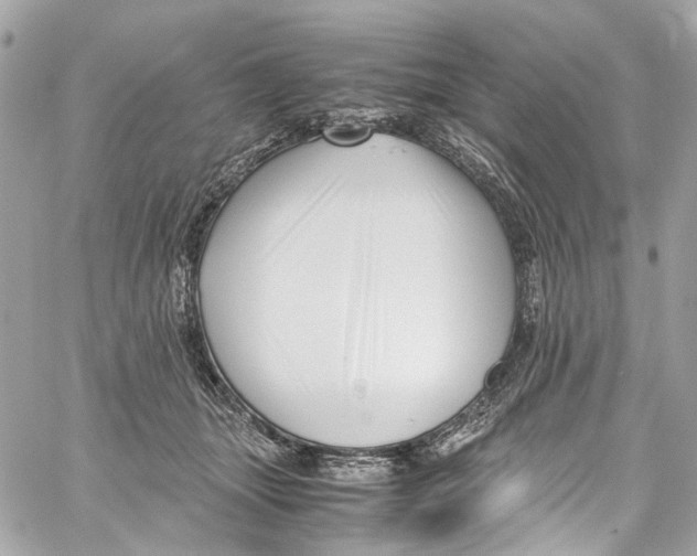 X0000059850463200511181543