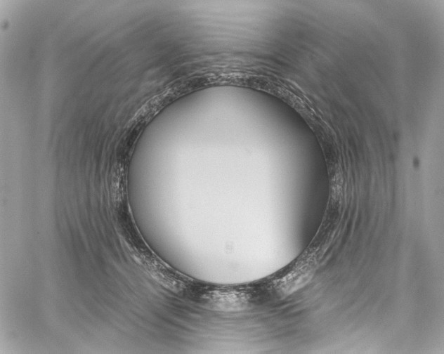 X0000059850464200511181543