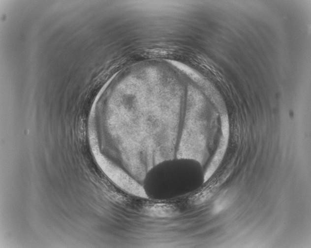 X0000059850467200511181543