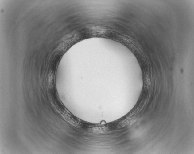 X0000059850468200511181543