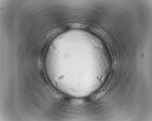 X0000059850469200511181543