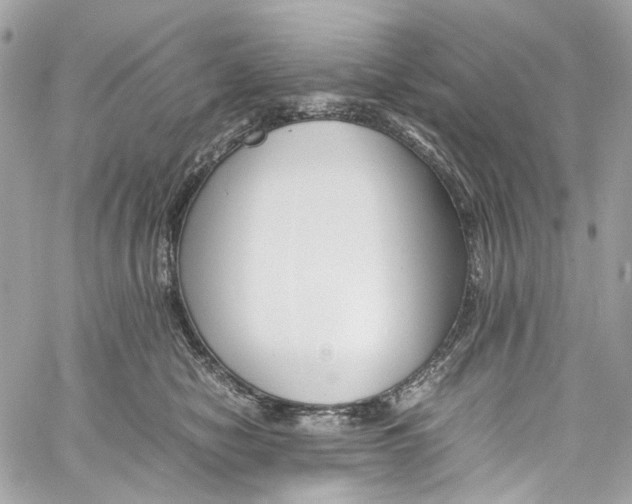 X0000059850470200511181543