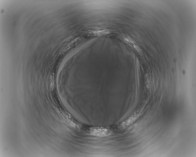 X0000059850471200511181543