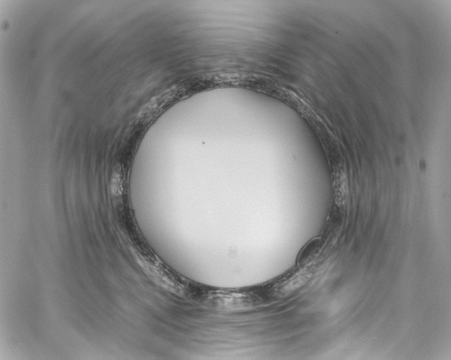 X0000059850472200511181543