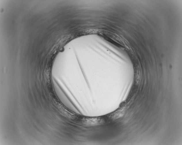 X0000059850473200511181543