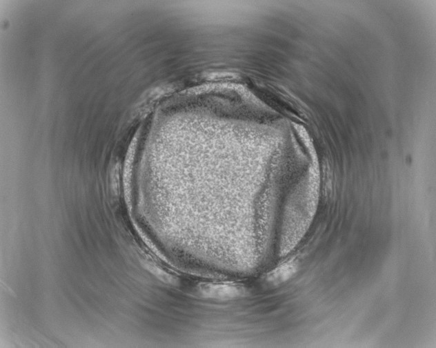 X0000059850475200511181543