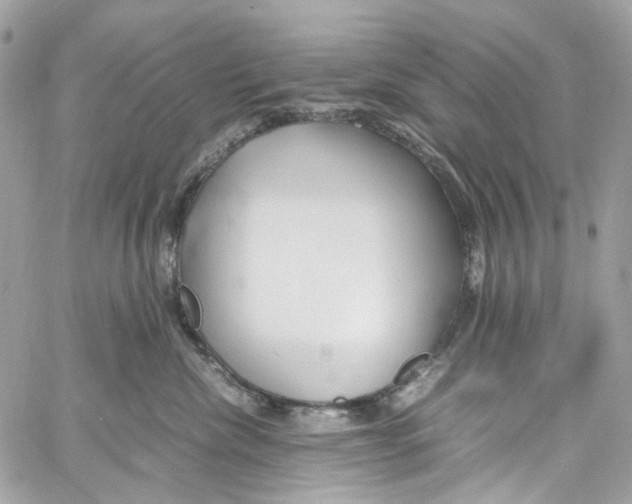 X0000059850476200511181543