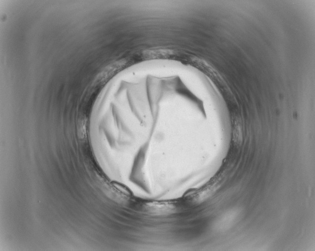 X0000059850477200511181543